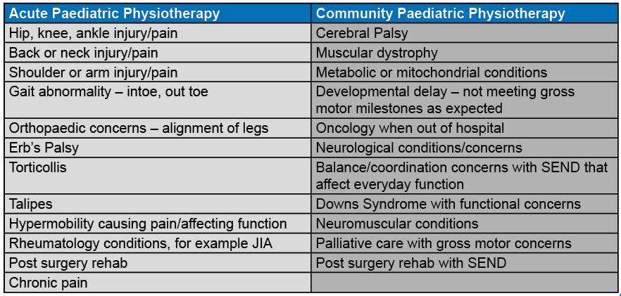 Table showing physiotherapy services