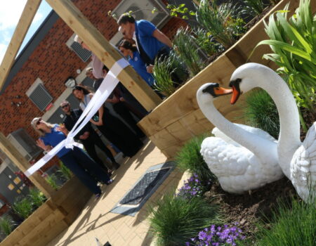 swan statues in Swannery Garden with gathering crowd
