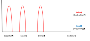 Basal bolus graph